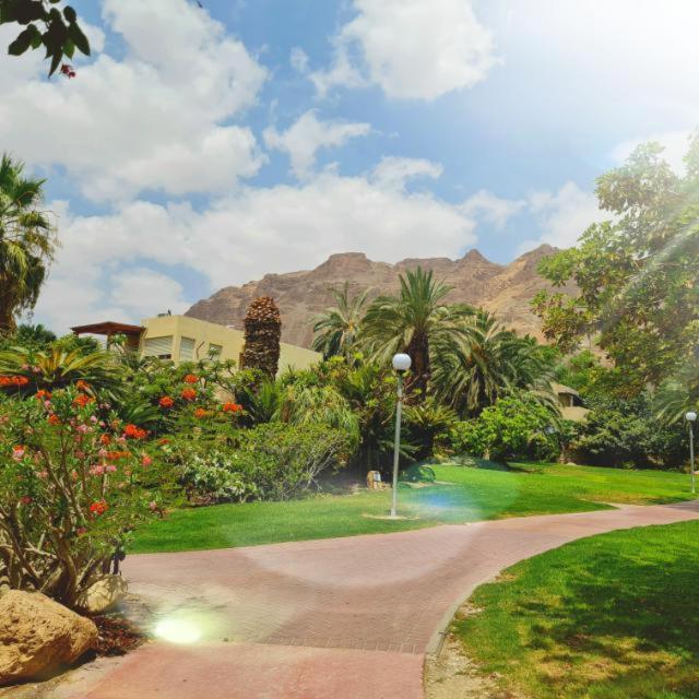 Ein Gedi Caravan By Dory Caravan エクステリア 写真